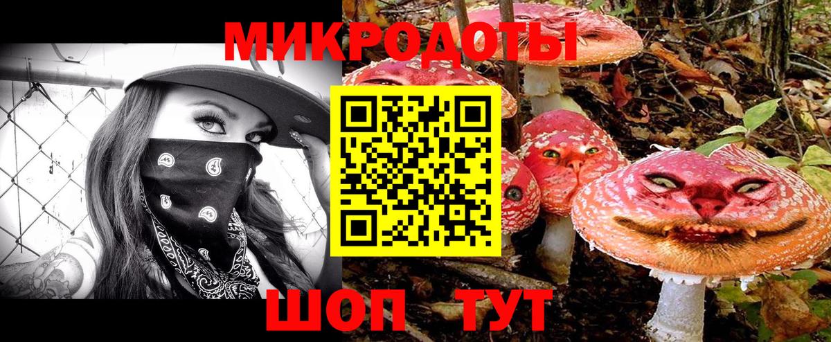 Галлюциногенные грибы прущие грибы Зерноград