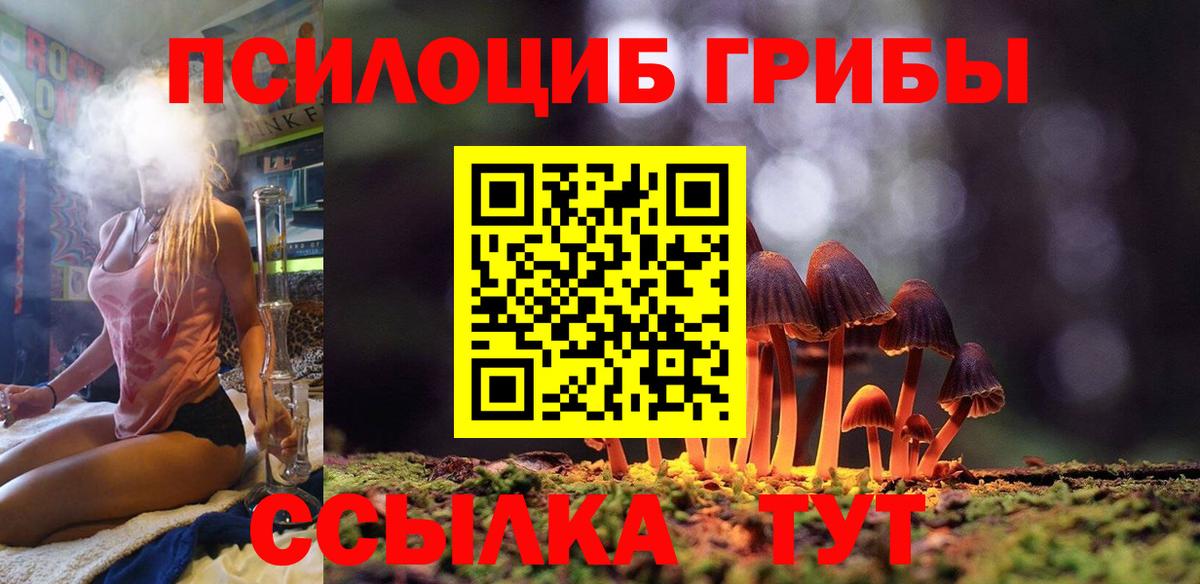 Галлюциногенные грибы Cubensis  Вход с VPN  Псилоцибиновые грибы Psilocybe  Зерноград 